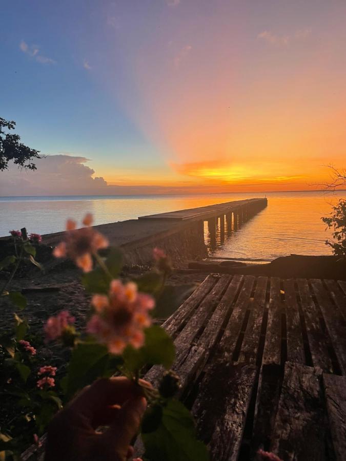 Blue Emocean Dive Resort Moyo Island Eksteriør billede